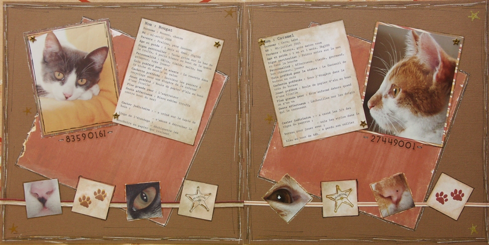 fiches signalétiques