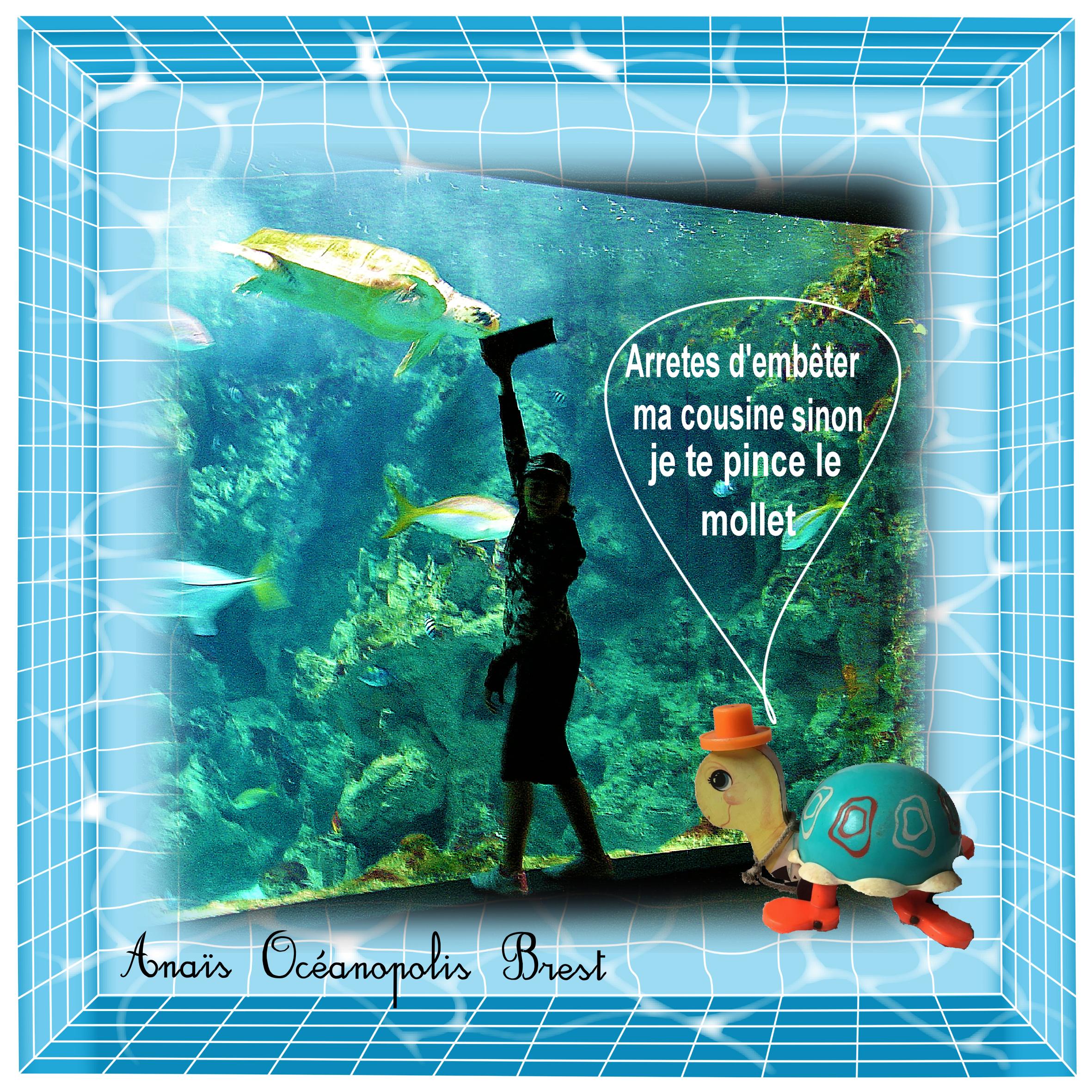 Fil rouge Marie Rose 03 08 2022.jpg