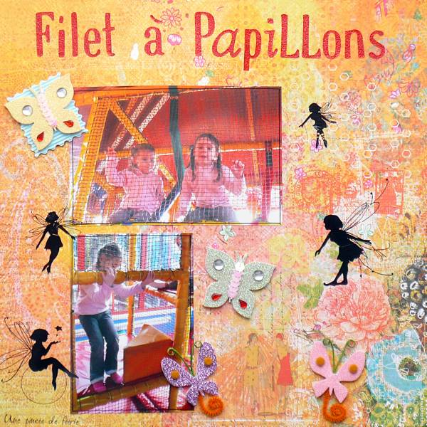 Filet à papillons