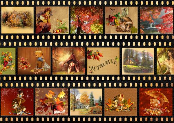 Film d' automne
