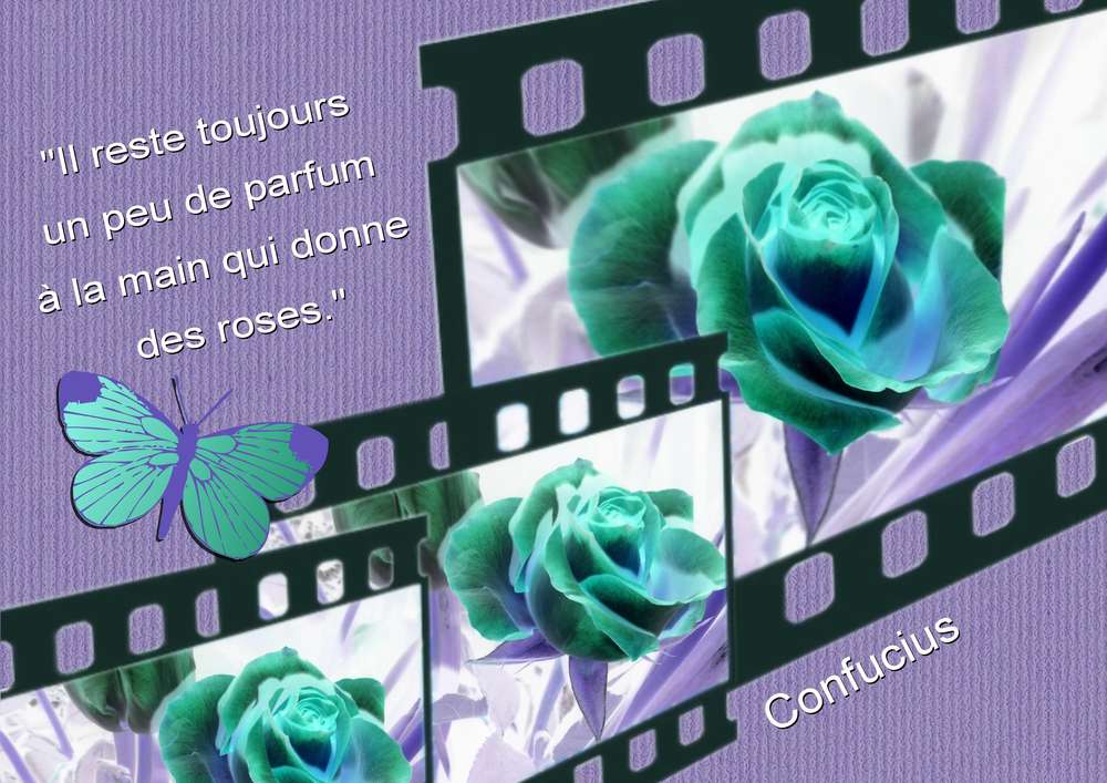 FILM - LES ROSES