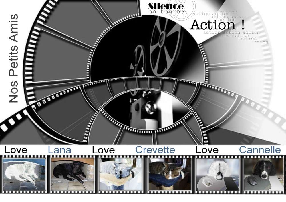 FILM - NOS PETITS AMIS