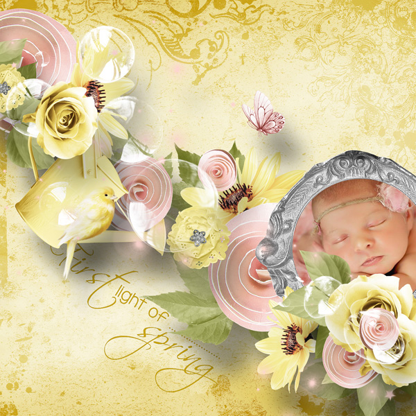 First light of spring