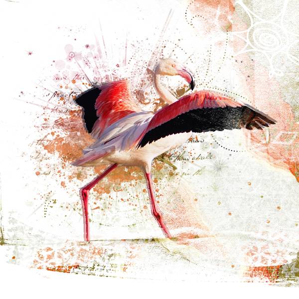 Flamant rose artistique