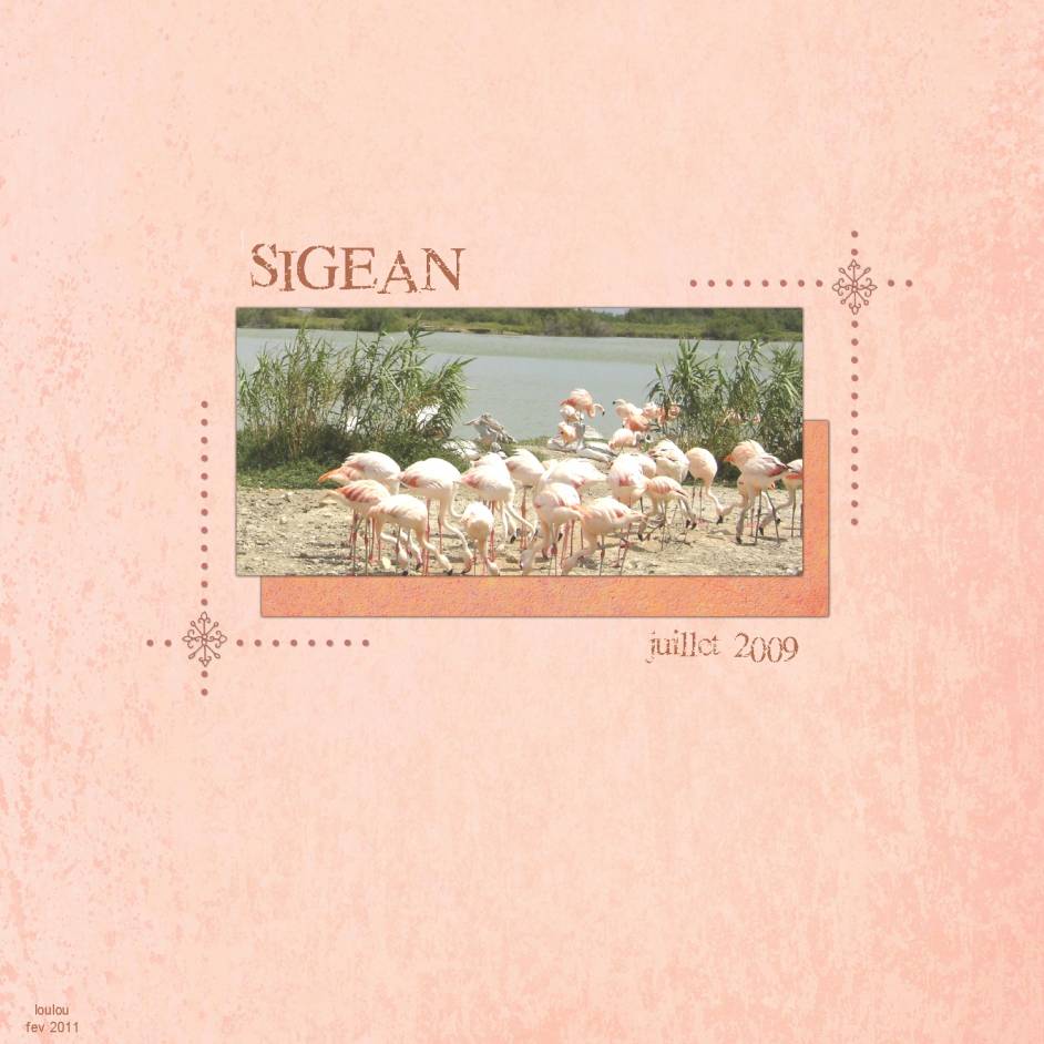 Flamants roses à Sigean