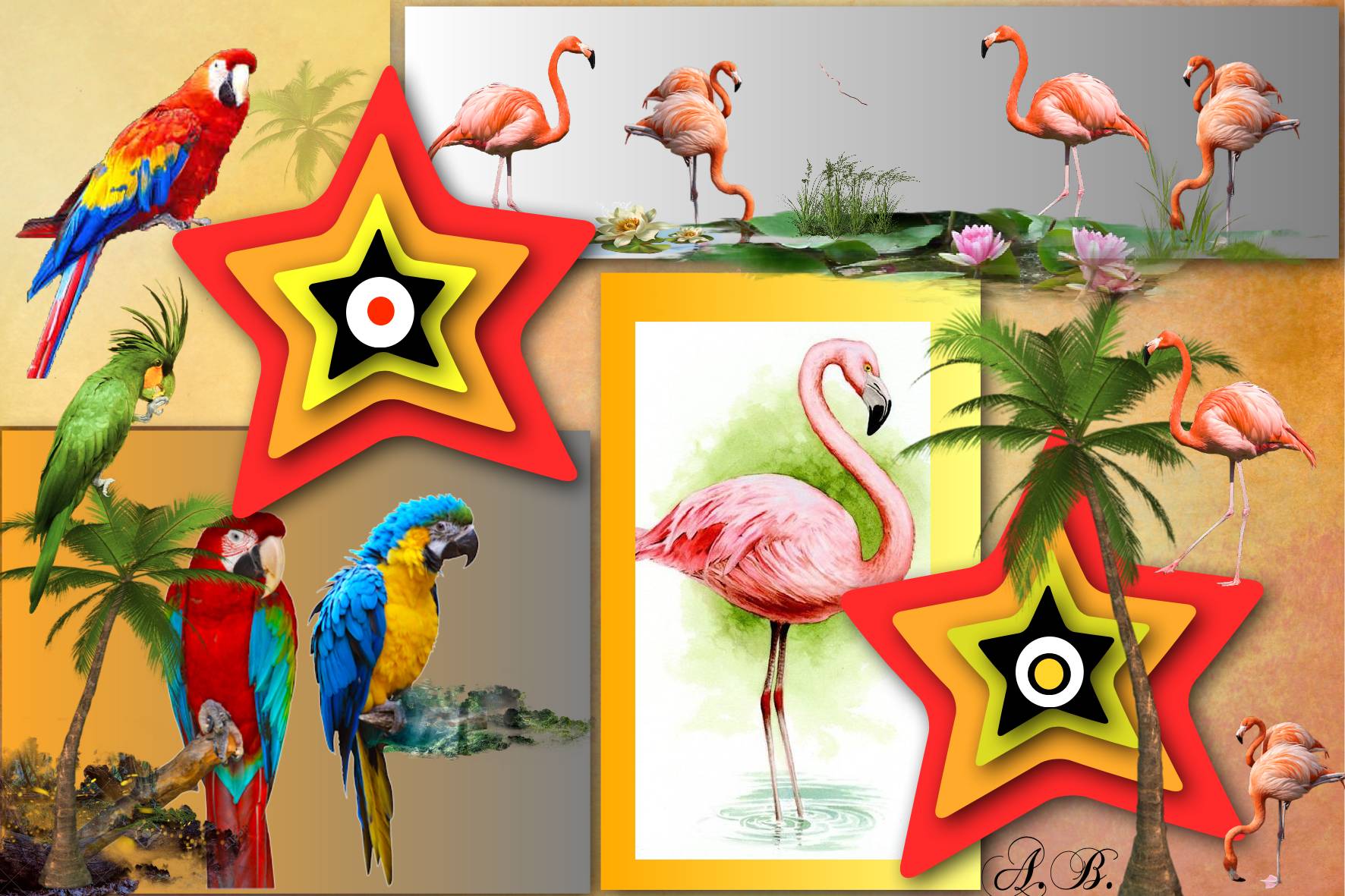 Flamants  roses .jpg