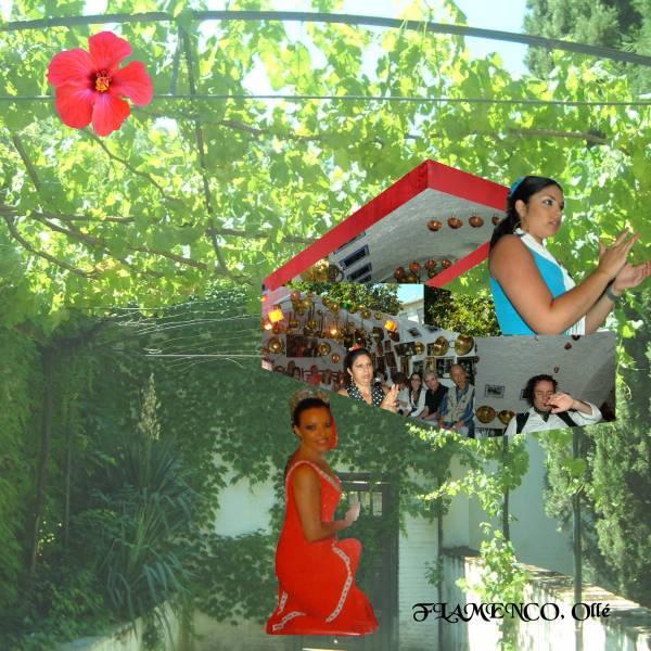 FLAMENCO Défi Moysson