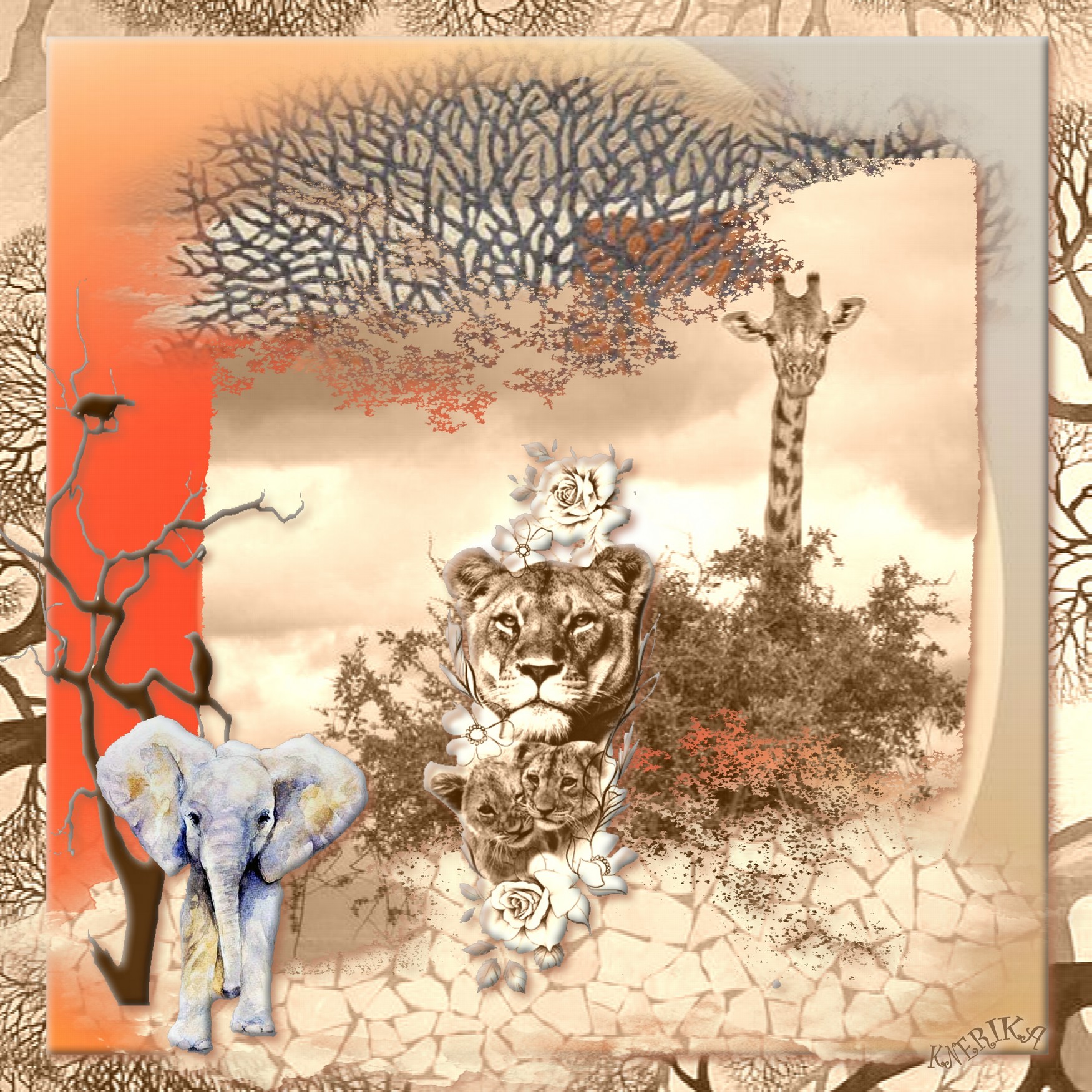 Flash Afrique  Anne Marie .jpg