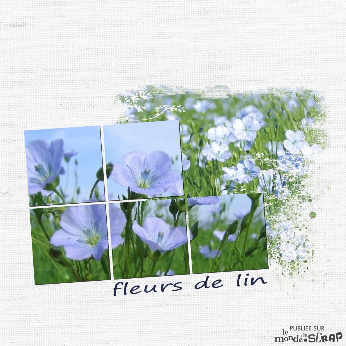 fleur de lin.jpg
