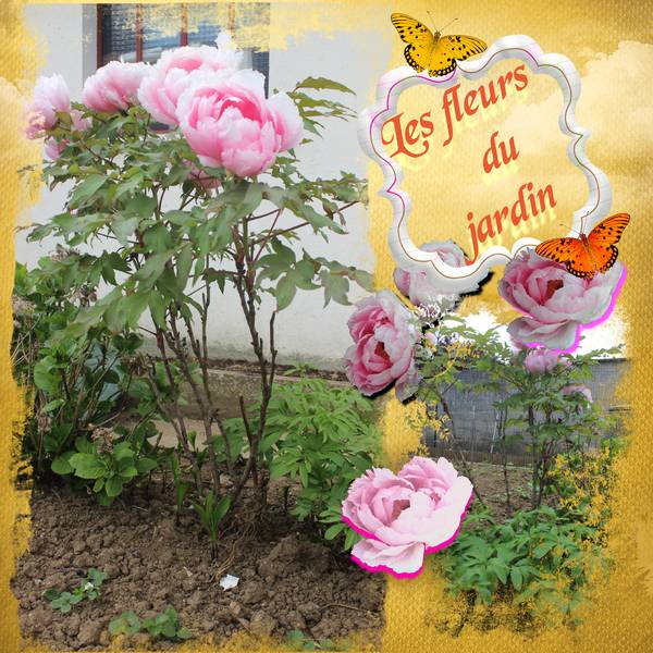 Fleur de mon jardin