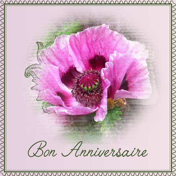 Fleur De Sel Michelle Bon Anniversaire Forum Le Monde Du Scrap