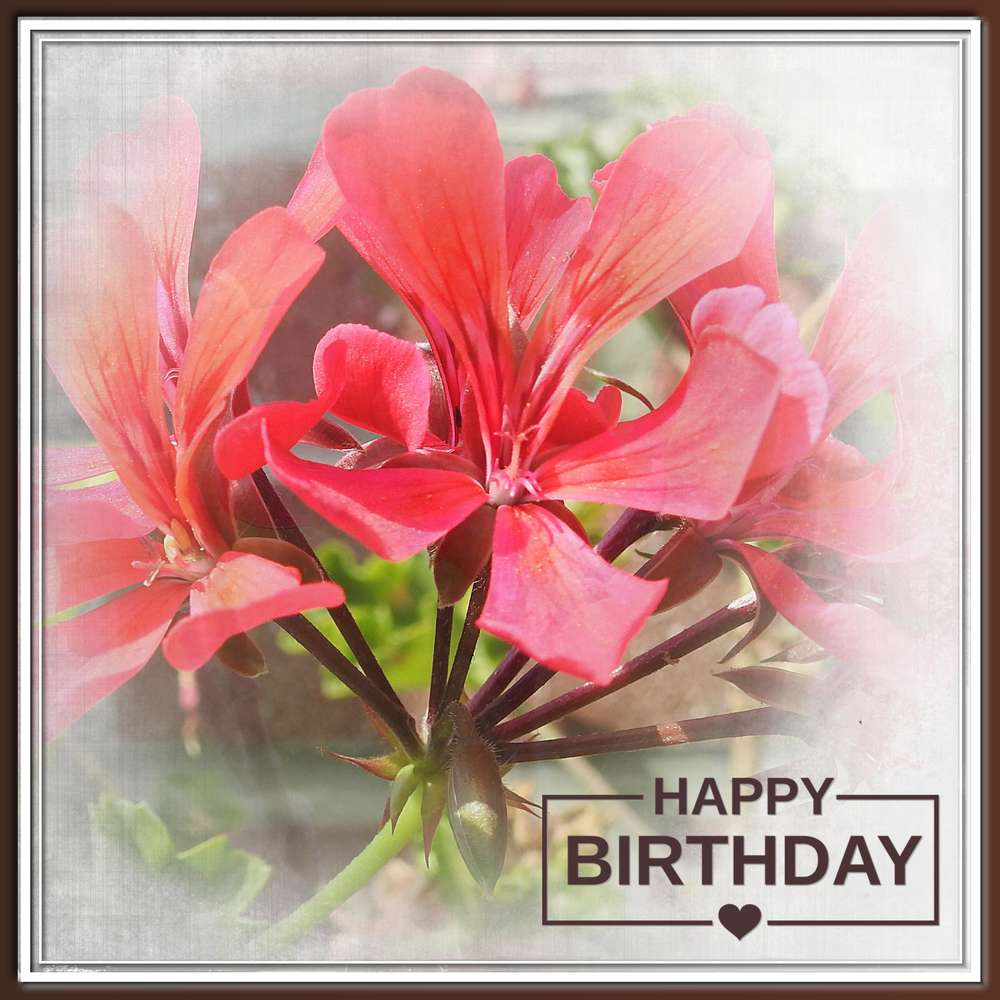 FLEUR DE SEL - (MICHELLE) - HAPPY BIRTHDAY