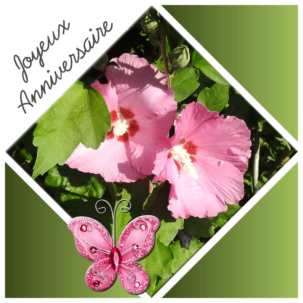 FLEUR DE SEL - (MICHELLE) - JOYEUX ANNIVERSAIRE