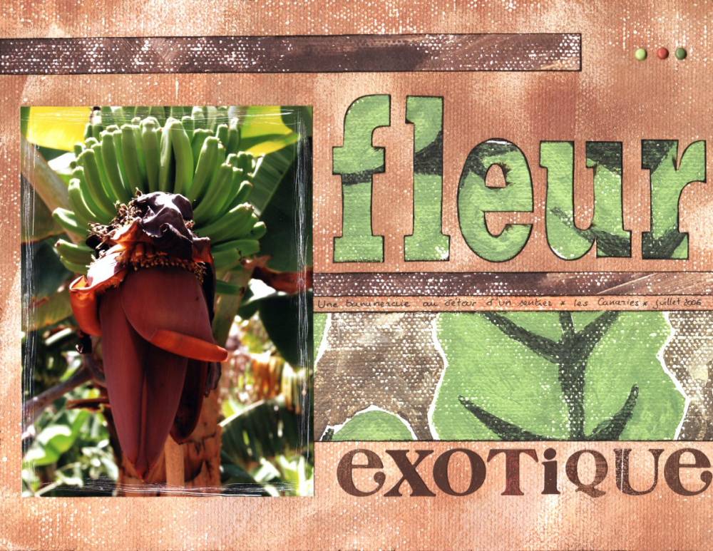 Fleur exotique