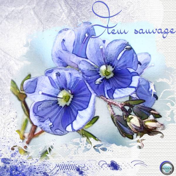 Fleur sauvage (essai)