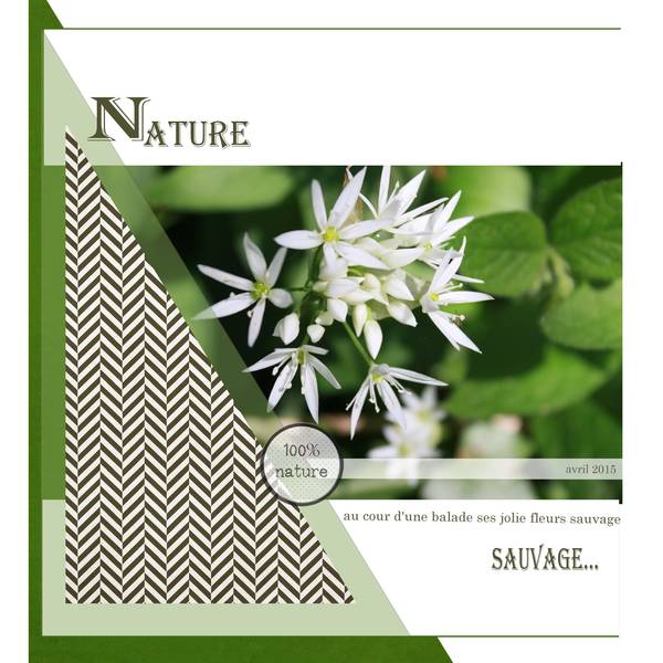 fleur sauvage