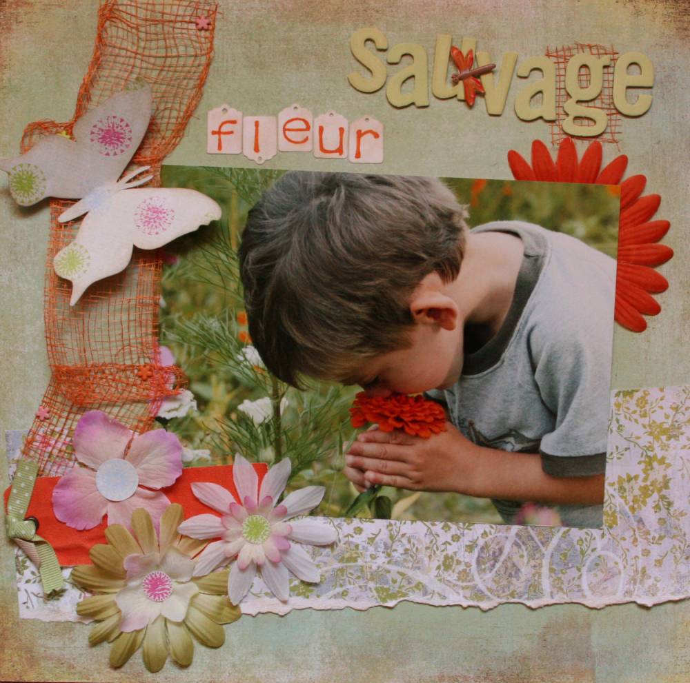 fleur sauvage