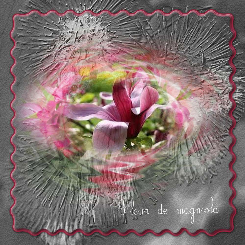 fleurde magniola