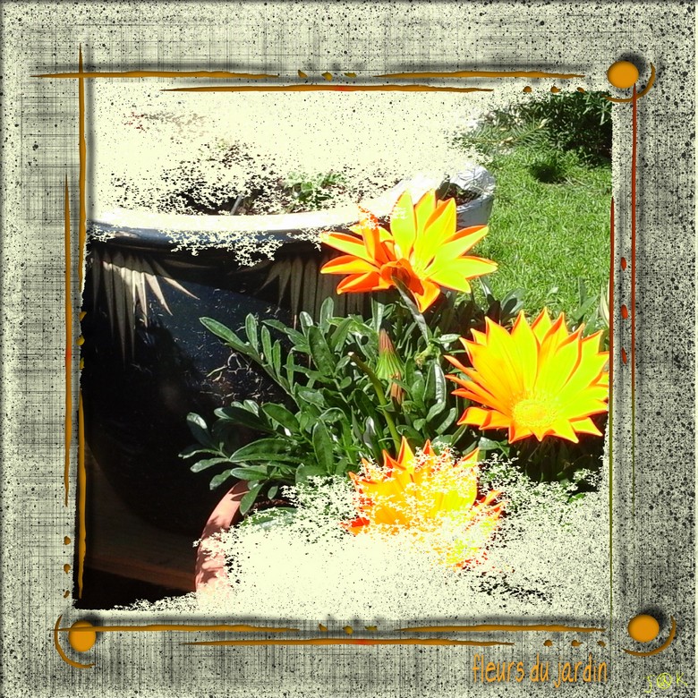 fleurs au jardin.jpg