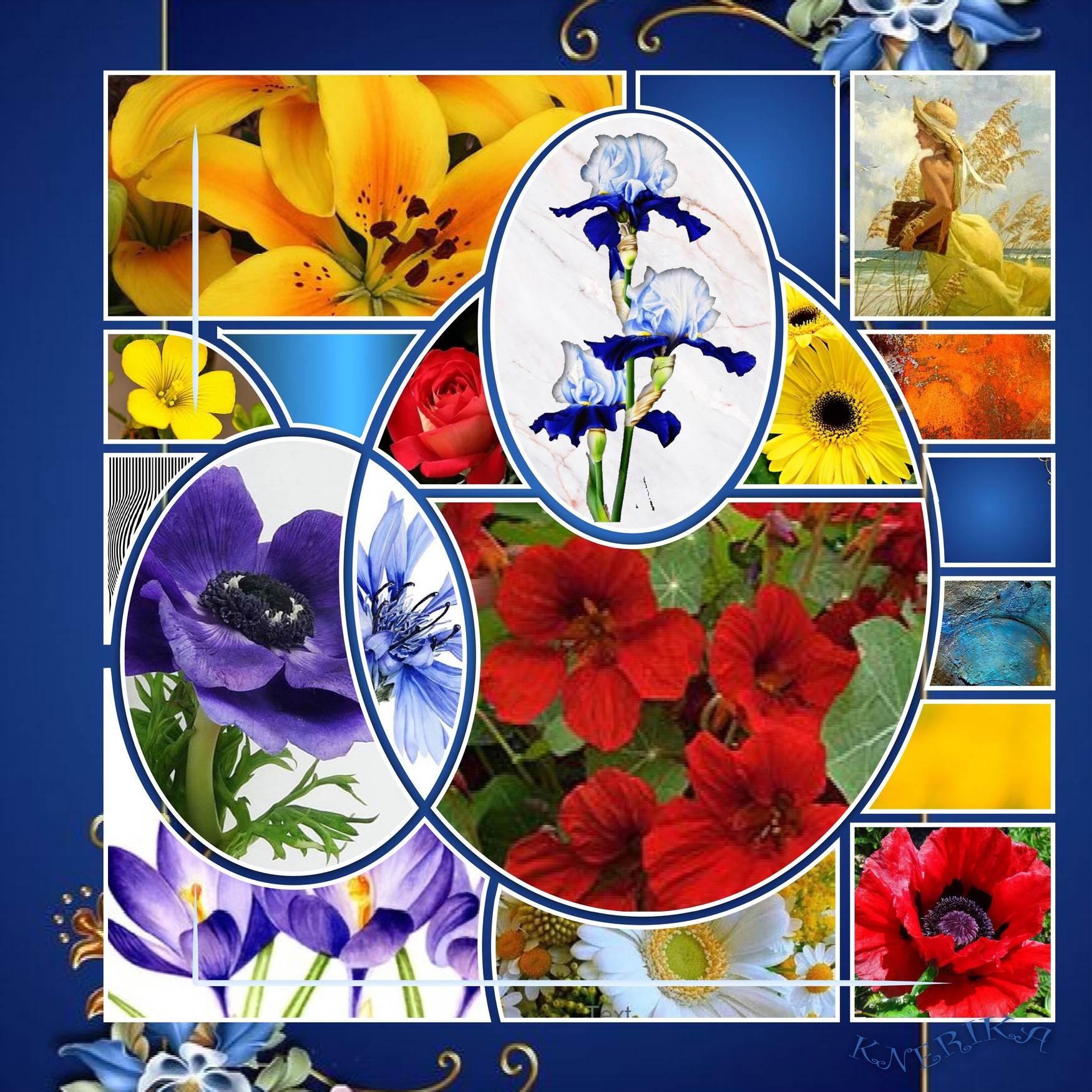 fleurs bleues, jaunes, rouges,A.M..jpg