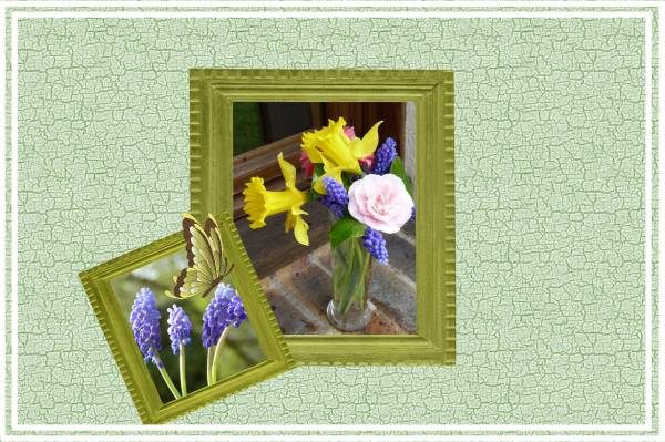 fleurs coupées en vase