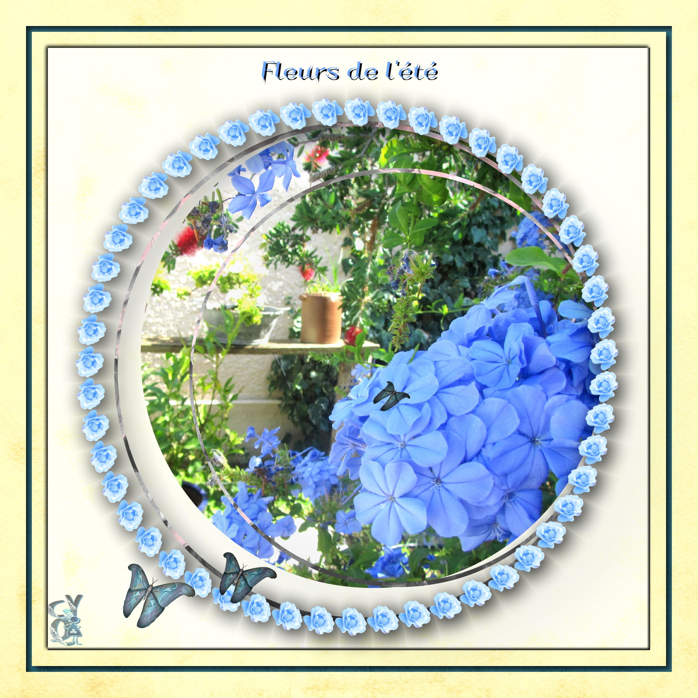 Fleurs de l'été.jpg