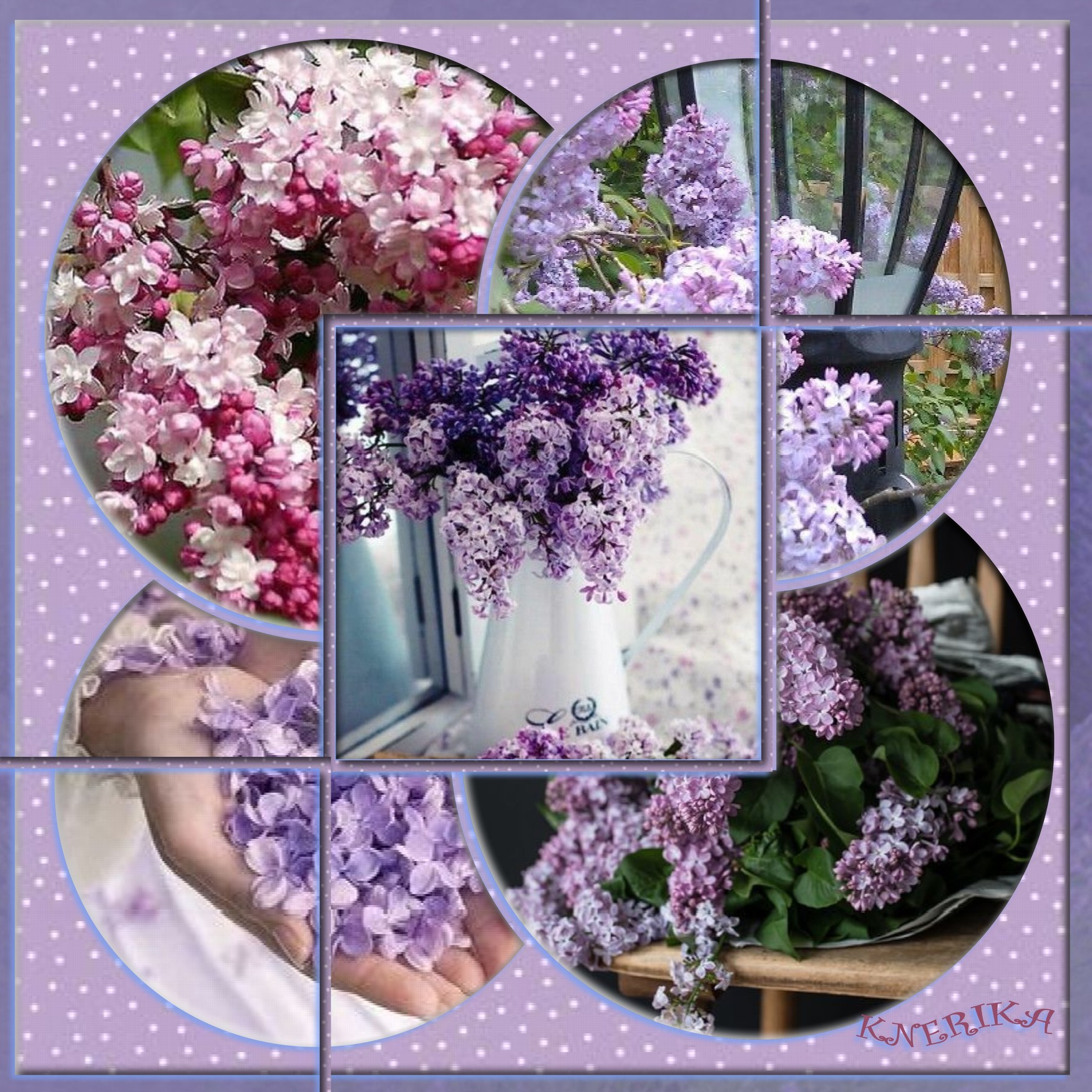 Fleurs de lilas,B, 17 08 2020 OK.jpg