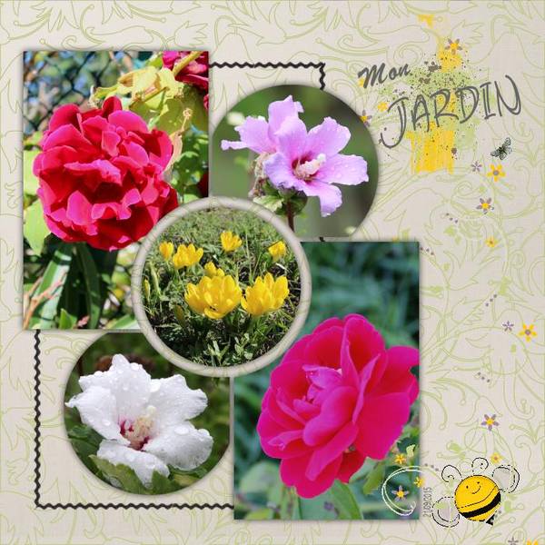 Fleurs de mon jardin