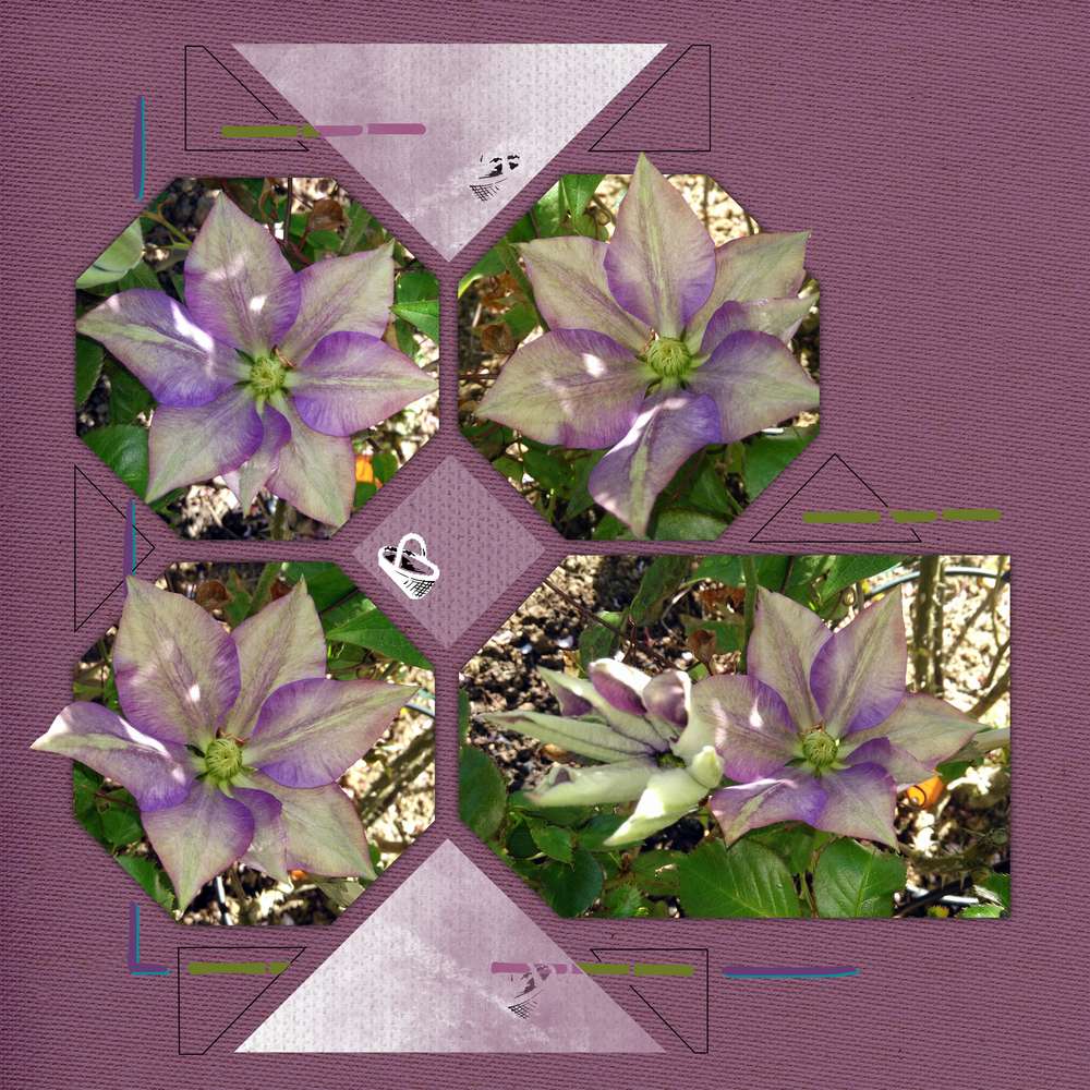 Fleurs de notre jardin