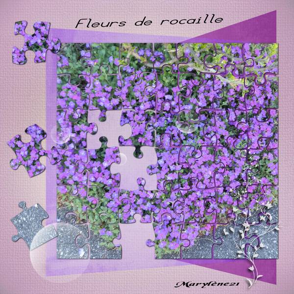 FLEURS DE ROCAILLE
