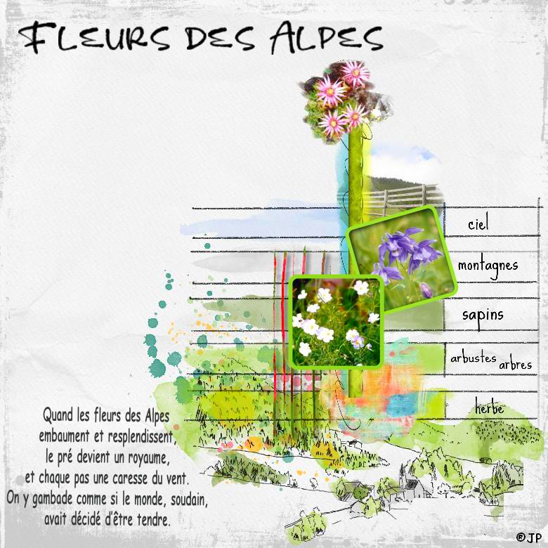 fleurs des alpes.jpg