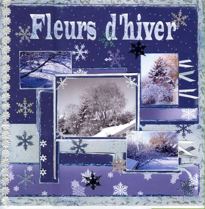 Fleurs d'hiver