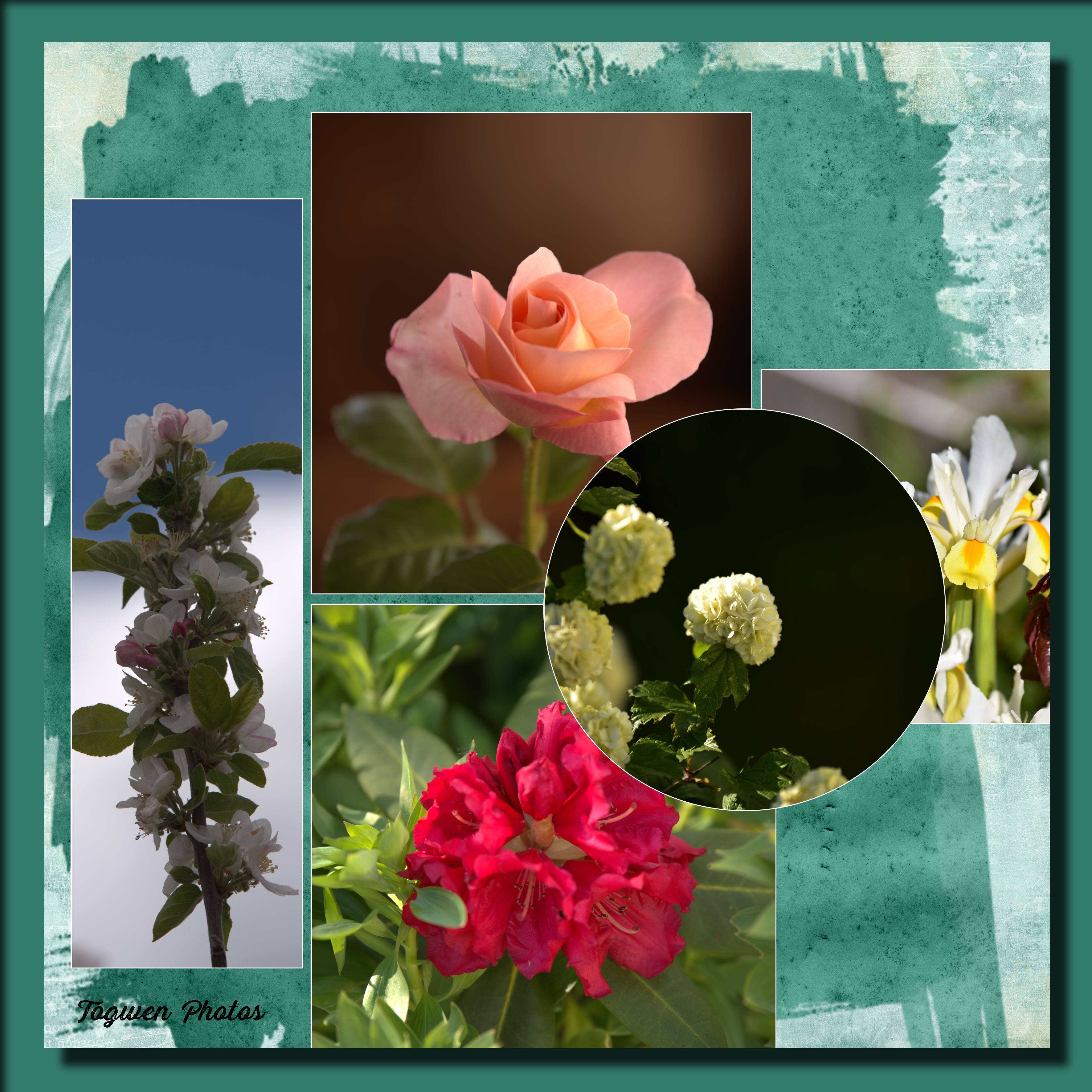 Fleurs du jardin.jpg