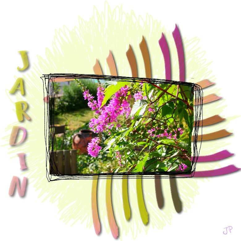 fleurs du jardin.jpg