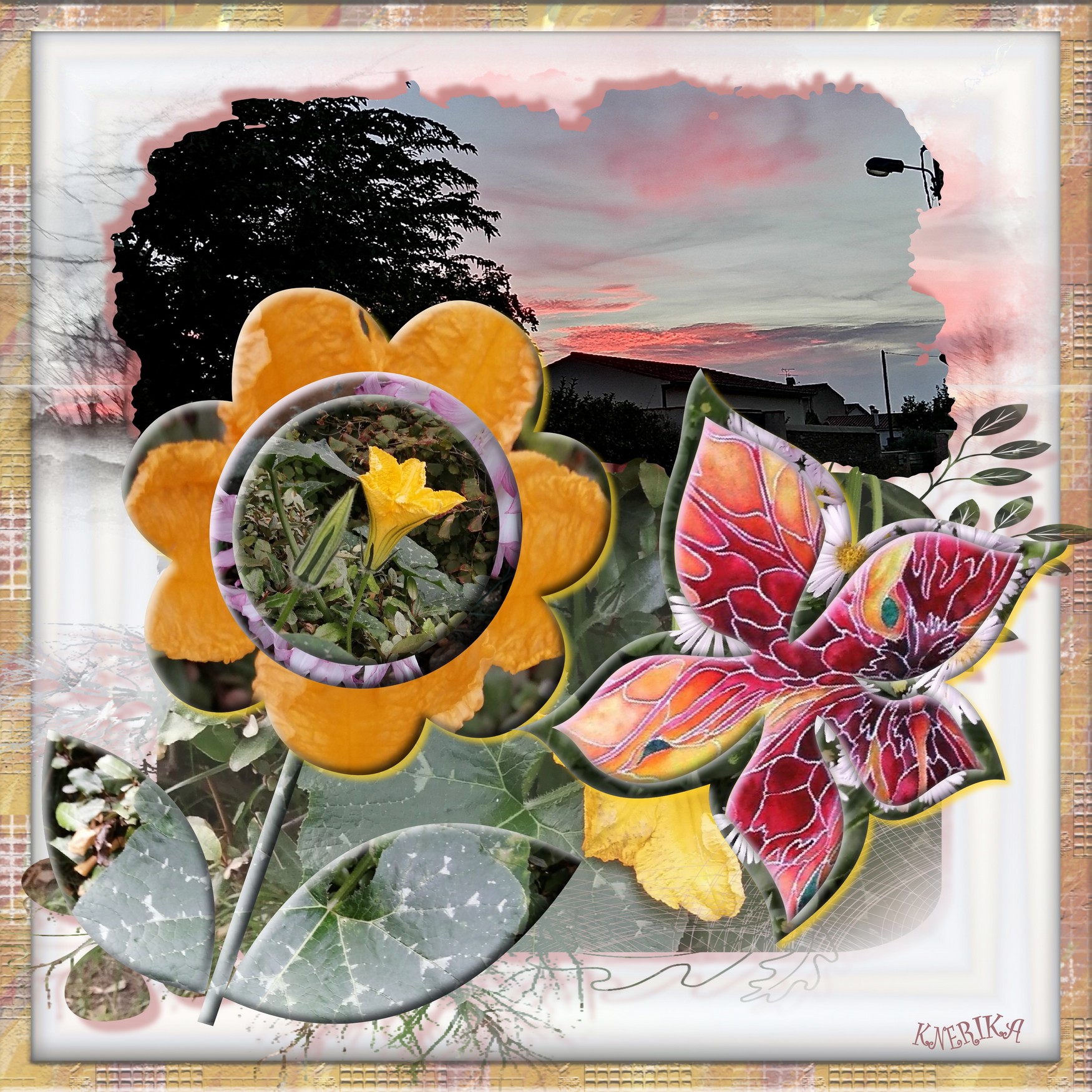 fleurs en gabarits au petit matin, Anne Marie