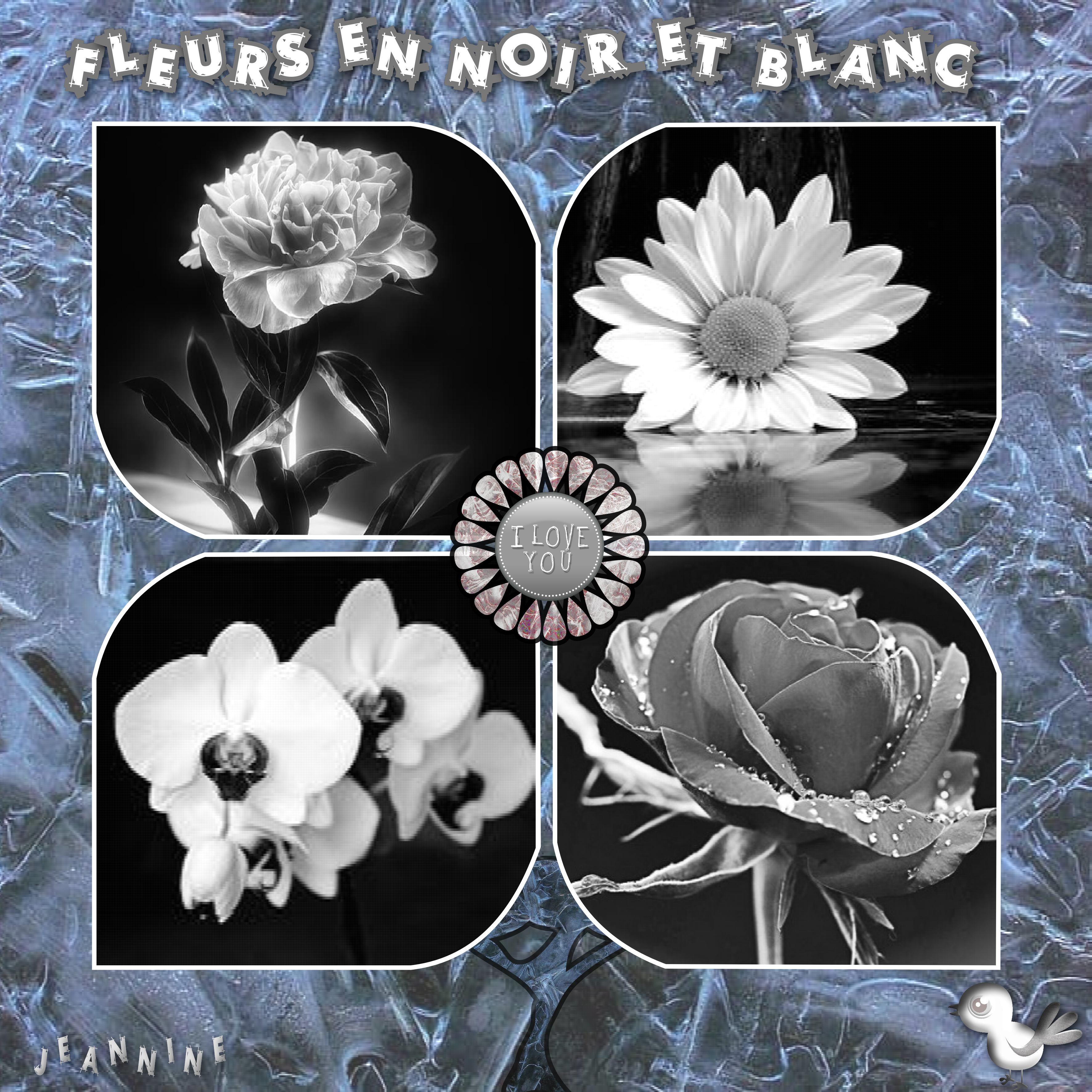Fleurs en Noir et Blanc_Jeannine.jpg