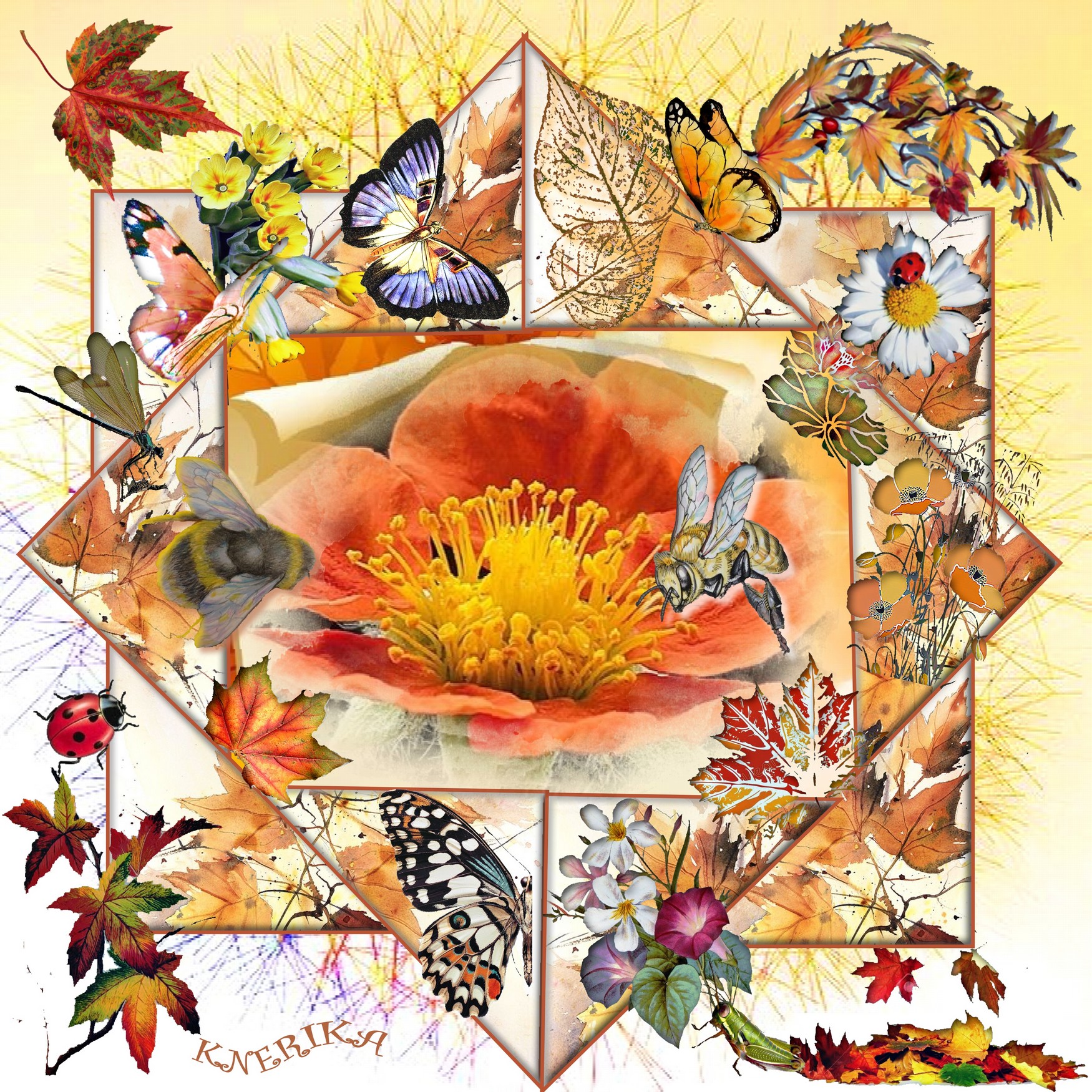 fleurs, feuilles et insectes, pour Gilberte Anne Marie.jpg