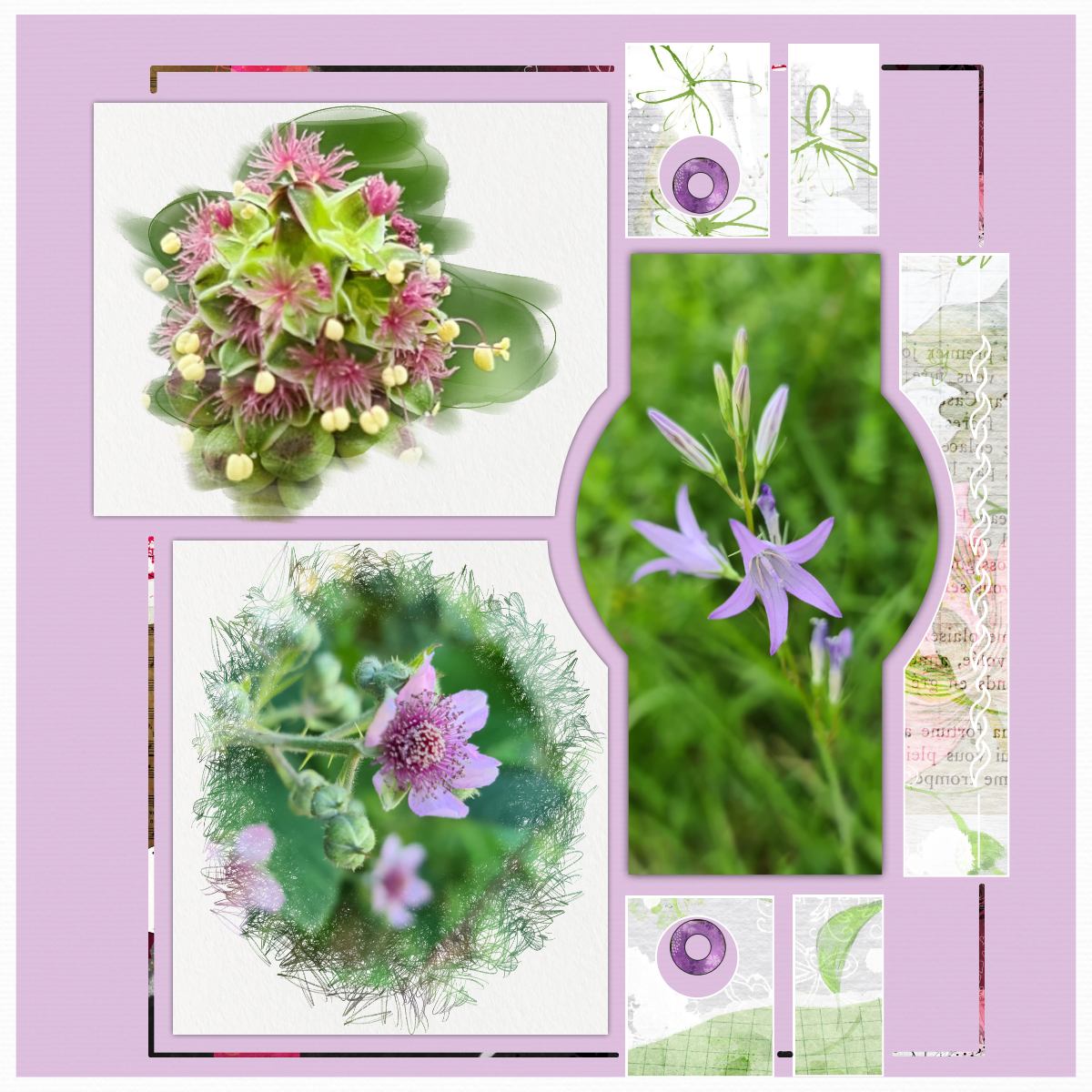 fleurs juin 2021 Azza.jpg