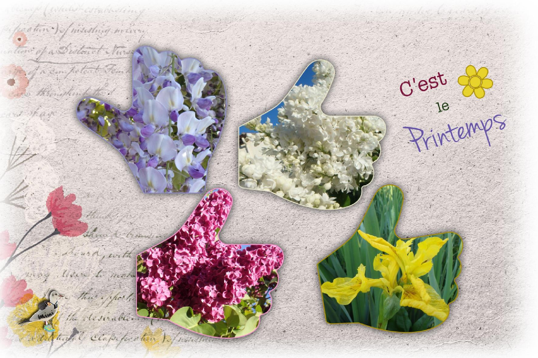 fleurs-le printemps-22 avril.jpg