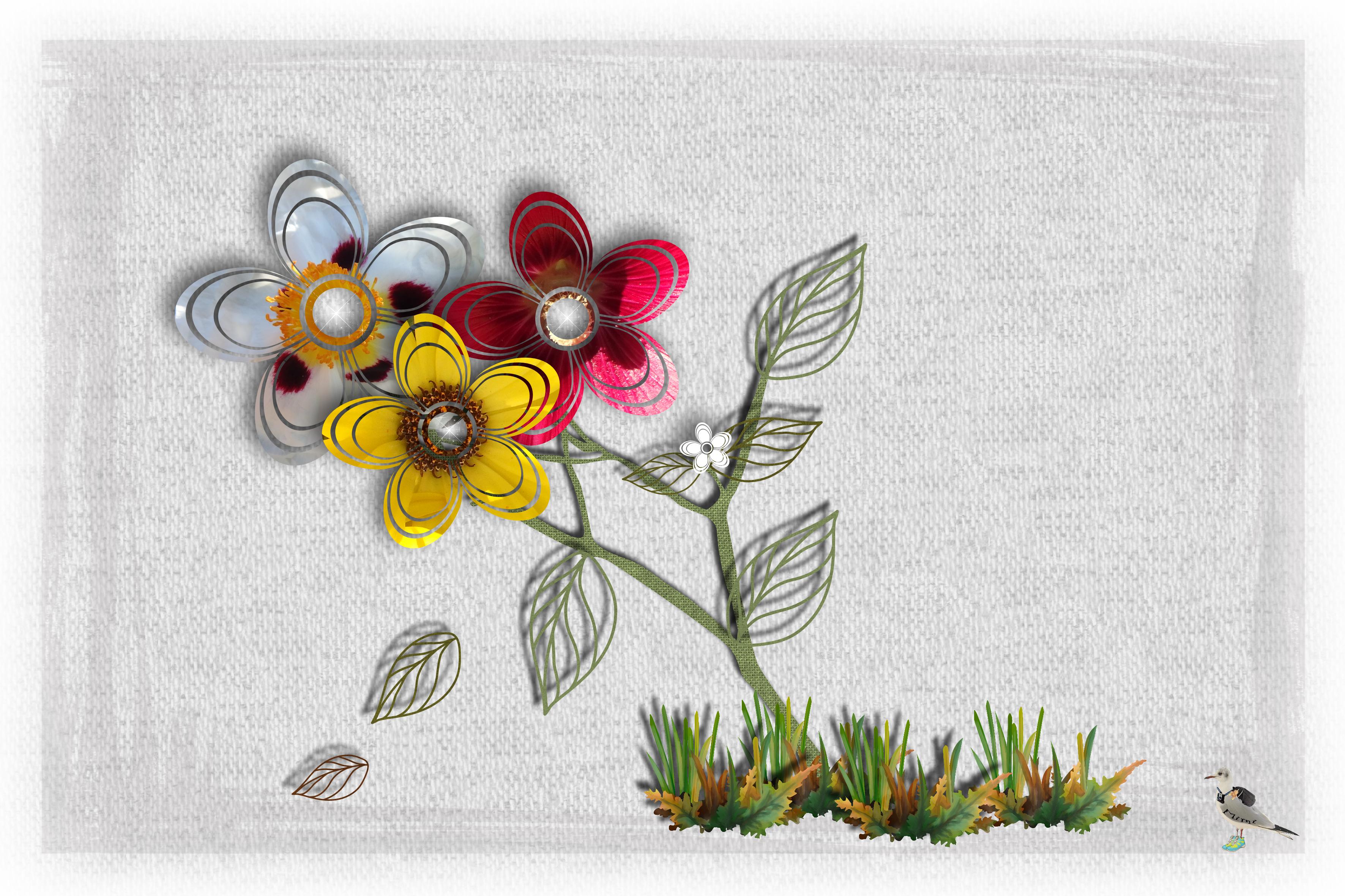 Fleurs printemps-16juin.jpg