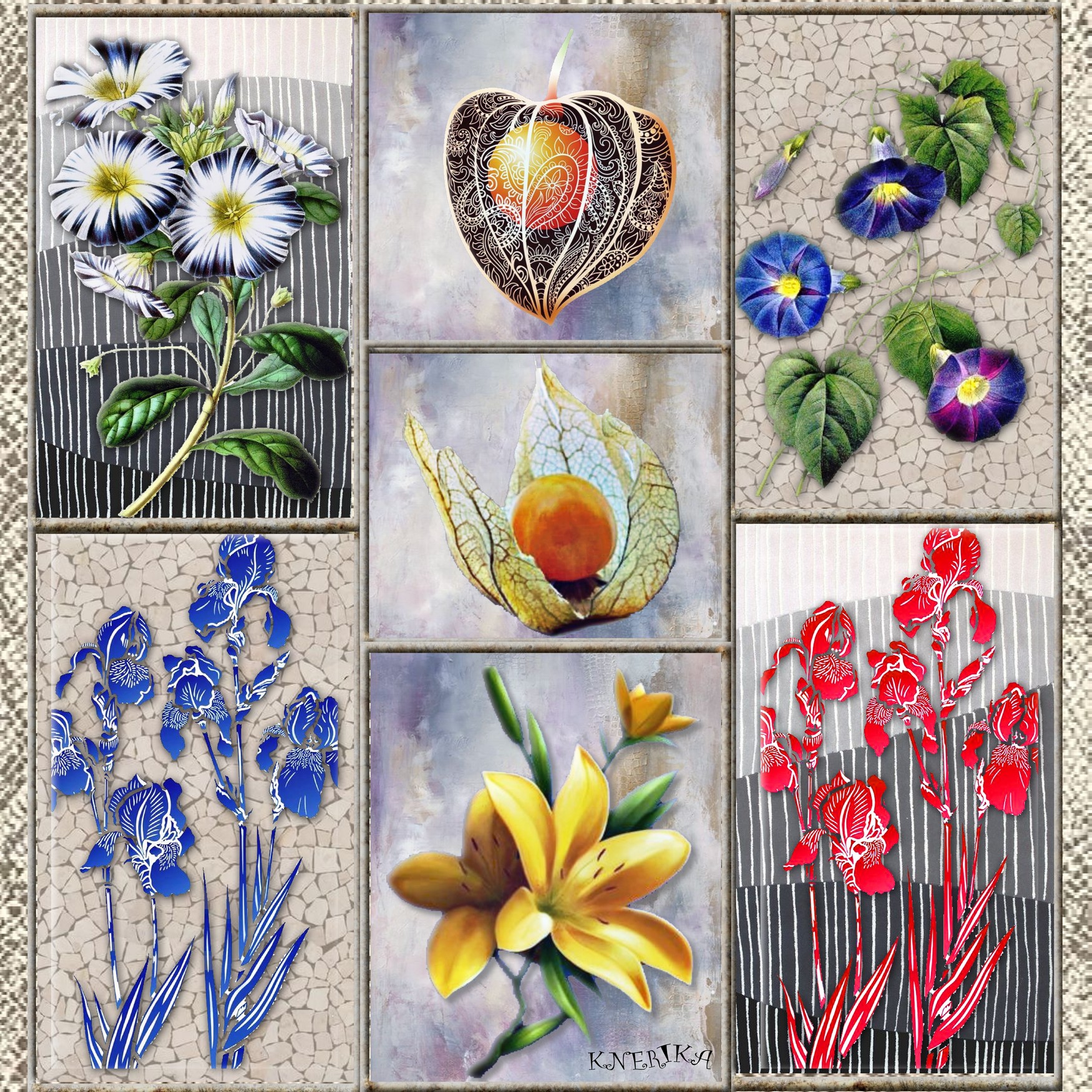 fleurs sur verre,   Anne Marie