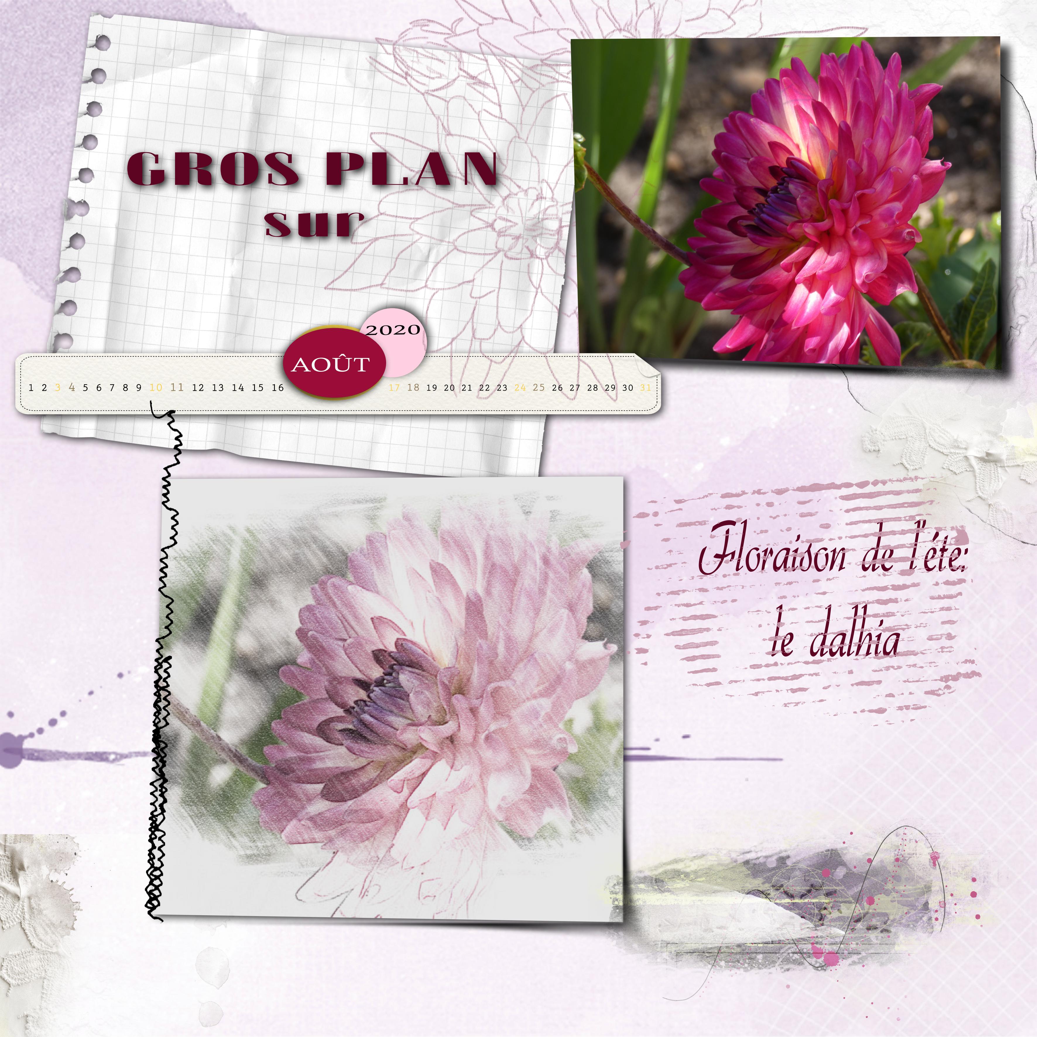 fleurs