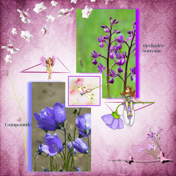 fleurs__page_6_