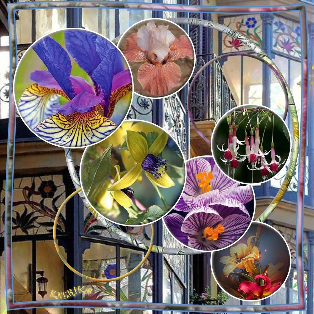 Fleurs_aux_grilles_du_24-03-20_OK