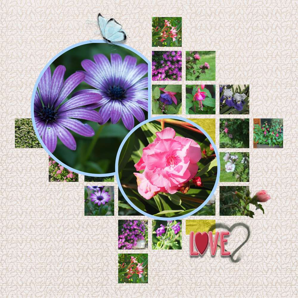 fleurs_de_mon_jardin_