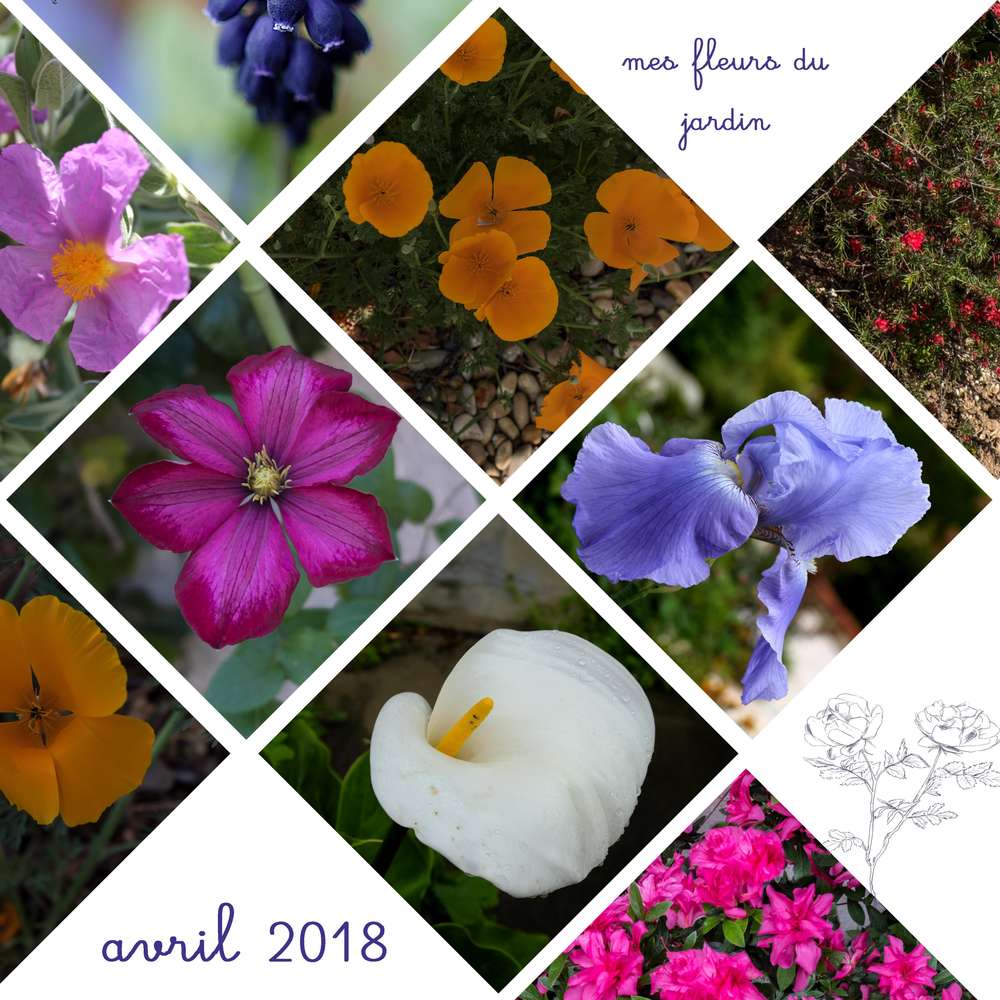 fleurs_du_jardin-avril