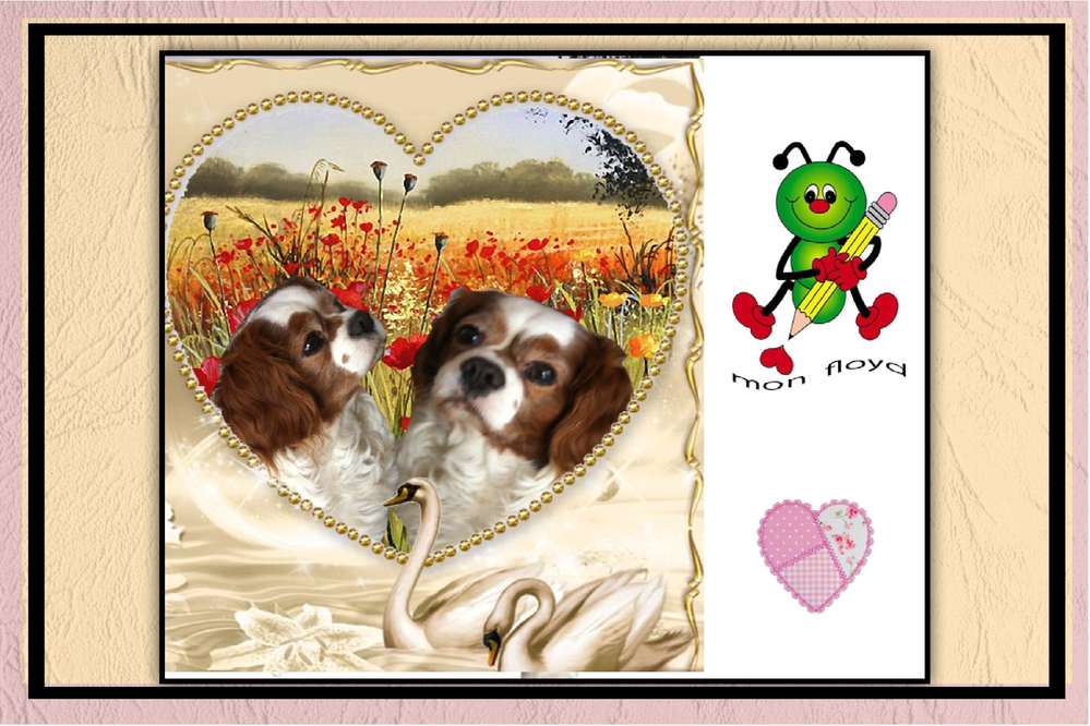 floooooooooo_essai_du_08__8_2017