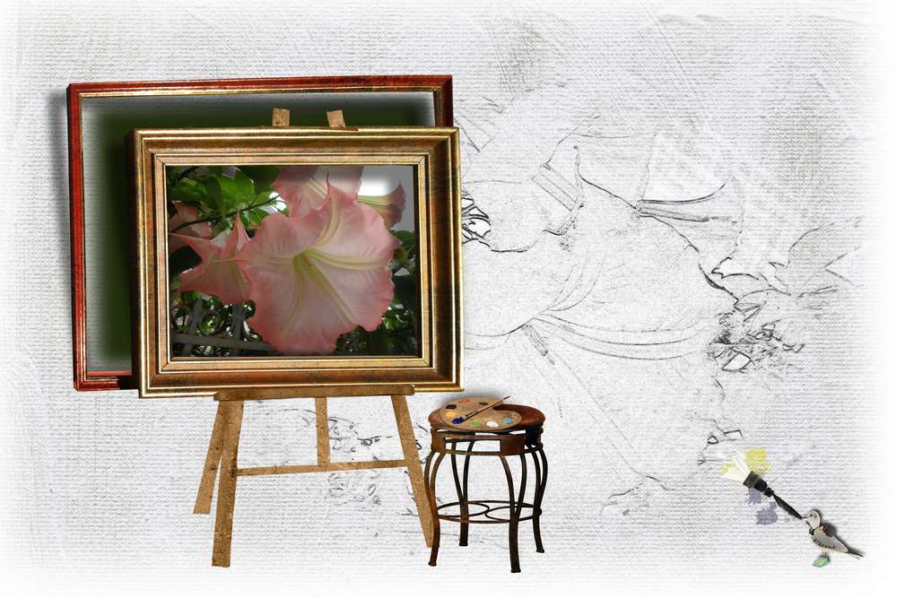 floraison de septembre