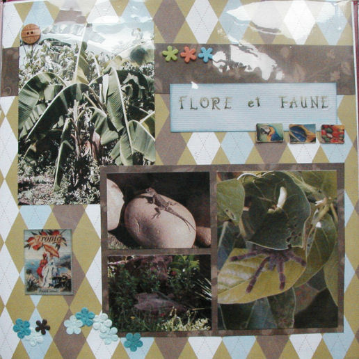 flore et faune brésilienne