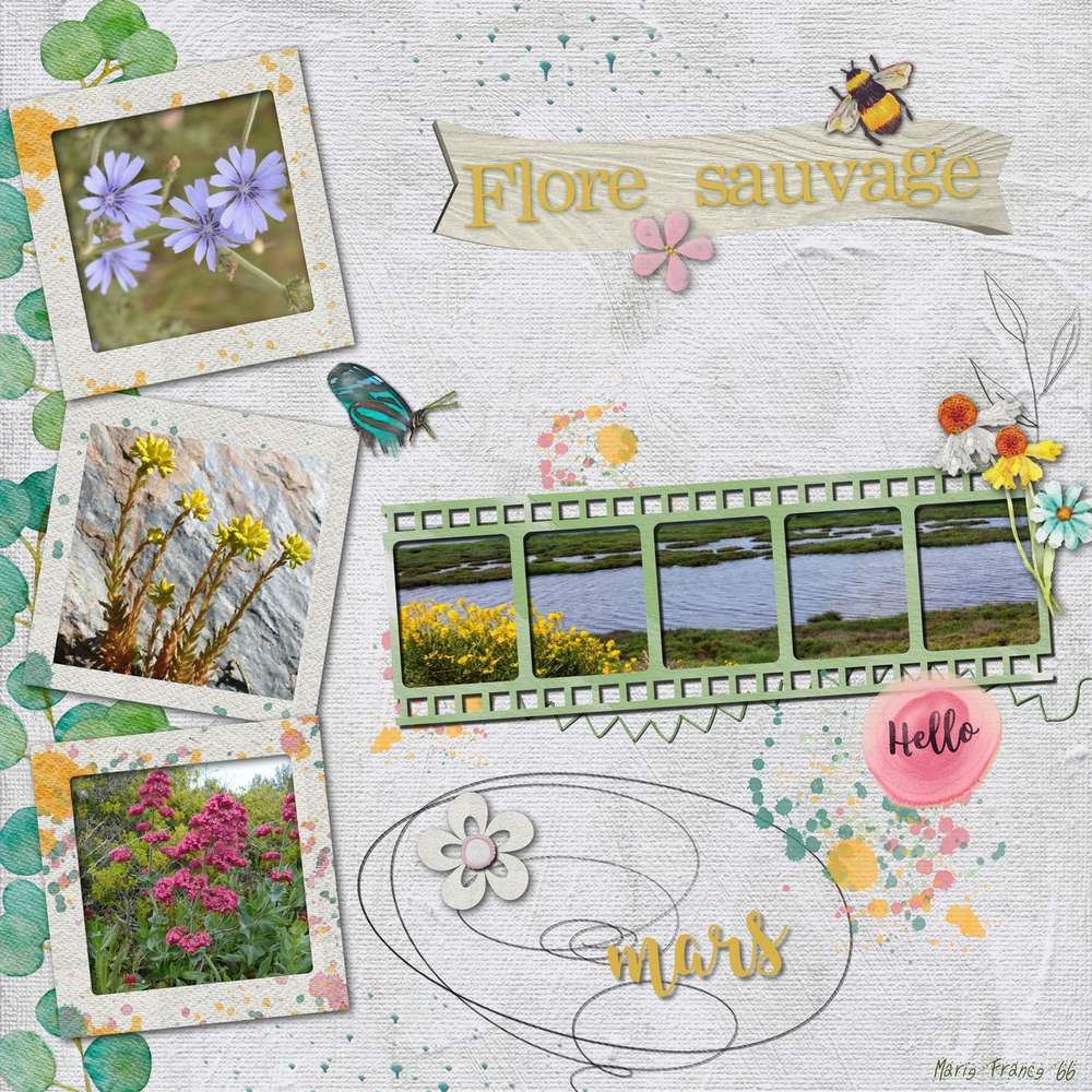 FLORE SAUVAGE DES PYRENEES ORIENTALES